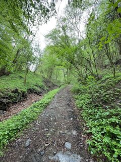 Fotografia z Gerald na trase