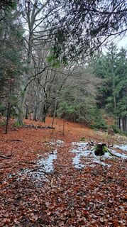 Foto de Anna Wilding a lo largo del recorrido