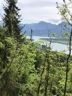 Foto de xmann2 a lo largo del recorrido