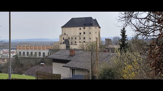 Foto de Edith K. a lo largo del recorrido