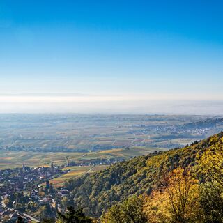 Aussicht von der Rietburg, Rhodt und Weyher