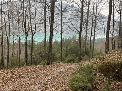 Photo de Jan Emsters le long du parcours