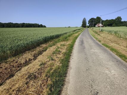 Foto von didgur entlang der Tour
