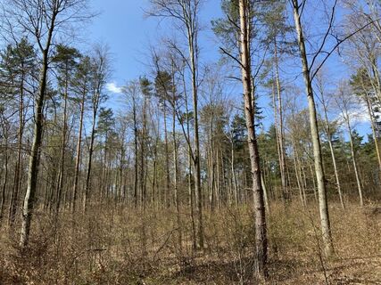 Fotografie z Attila Mihalcz na trase