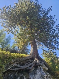 Fotografia z Nadja Schreiber na trase