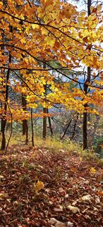 Fotografia z Buchegger Barbara na trase