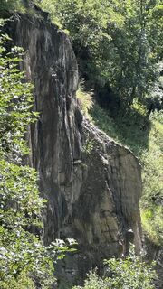 Zdjęcie z Mountain Cat ? ⛰️ wzdłuż trasy