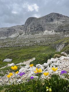 Fotografija s spletne strani Daniel Punz na poti