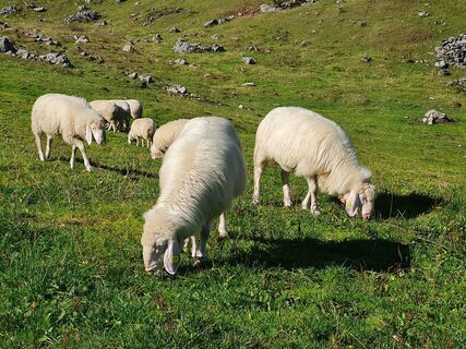 Foto von daniel edelmayer entlang der Tour