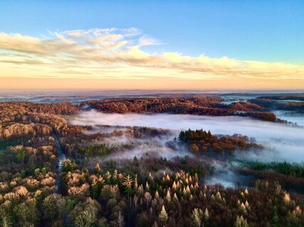 Höhenflug bei Nebel