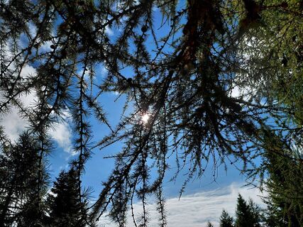 Foto von Ugo Olivotto entlang der Tour