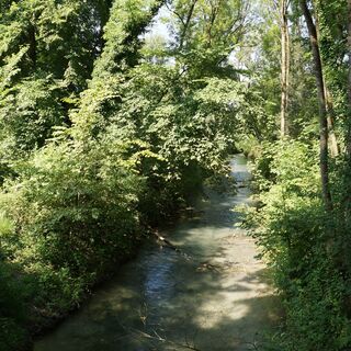 Guggerinsel