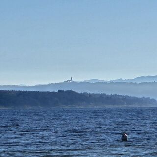 Fotografia z garrincha na trase