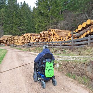 Holzstapel entlang der Straße