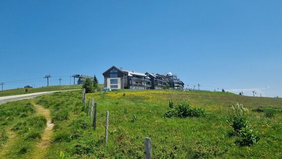 Foto da Oli Heise lungo il tour