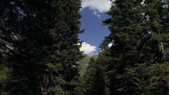 Foto von Jean Claude Guidi entlang der Tour