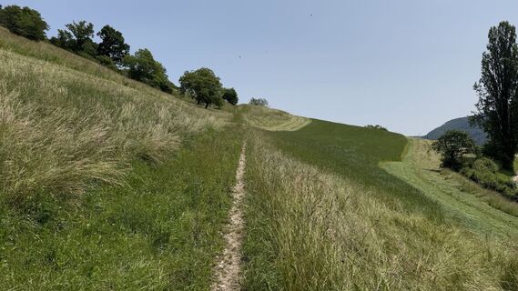 Foto von Sascha Kappeler entlang der Tour