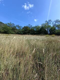 Fotografia z Julika Jármer na trase