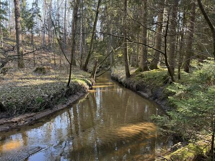 Zdjęcie z Norbert Herbig wzdłuż trasy