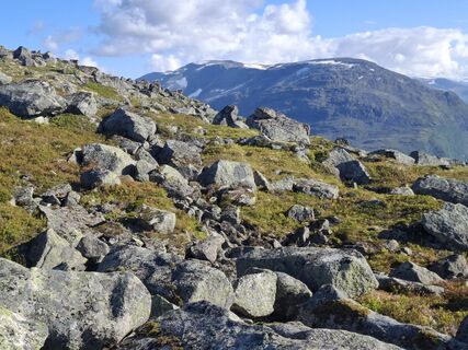 Photo de Luc Luyckx le long du parcours