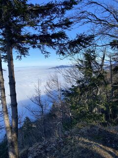 Zdjęcie z Johann Schörkhuber wzdłuż trasy