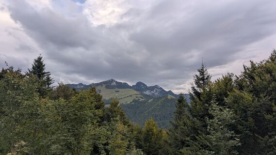 Fotografie z Thomas Heß na trase