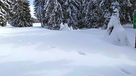 Foto von Róbert Balogh entlang der Tour