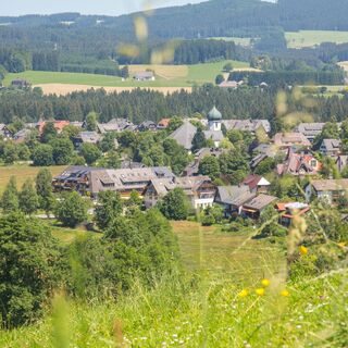 Blick auf Hinterzarten