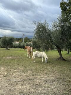 Foto von Agnese Martinelli entlang der Tour