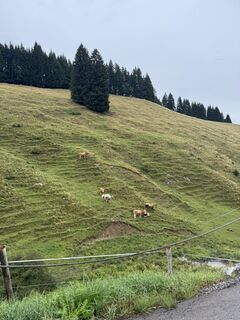 Photo de Nils Bittmann. le long du parcours