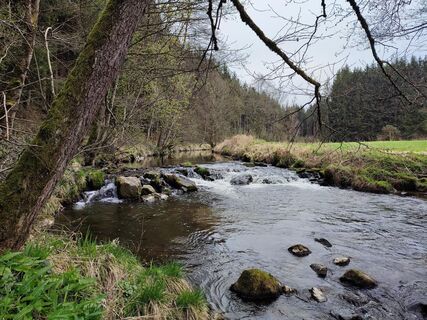 Biberweg am Kösslbach