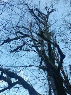 Fotografie z Christian Schaefer 2 na trase