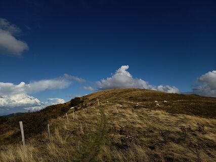 Photo de Aner le long du parcours