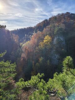 Фото с сайта Heinz Weber in во время экскурсии