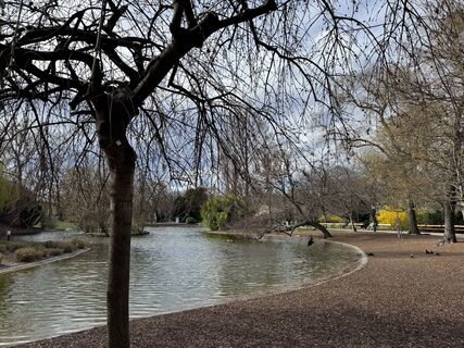 Foto de mac mac a lo largo del recorrido