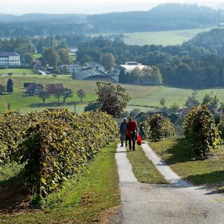 Blick zum Schloss Schielleiten, Stubenberg am See in der Oststeiermark