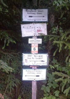 Wir entscheiden uns für die alpine Variante über die Riffel