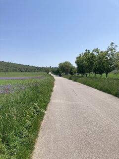 Foto von Robert Pleyer 2 entlang der Tour
