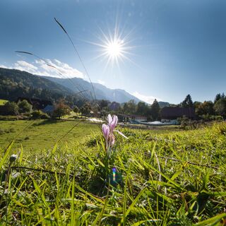 Ischnigghof