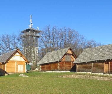 Keltendorf Schwarzenbach