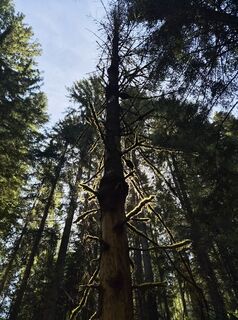Foto von Daniel W. entlang der Tour