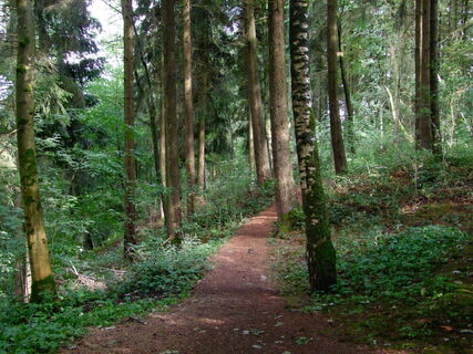 Tettenbusch Prüm 1