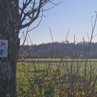 Rund um den Lämmerbuckel