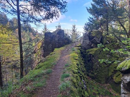 Foto fra Sabine Krohn undervejs på turen
