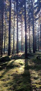 Foto de Katarzyna Michalska-Bochynek a lo largo del recorrido