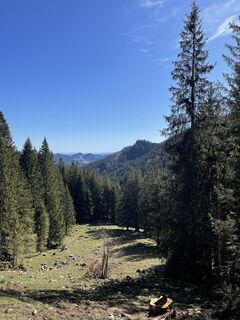 Fotó a Ralf Umminger honlapról a túra során