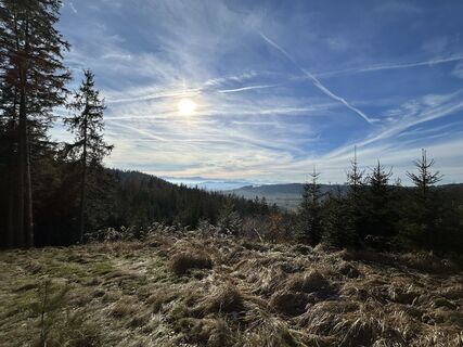 Fotografia z Christian Bozsoki na trase