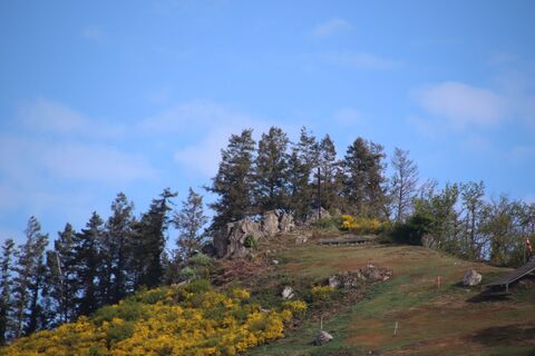 Photo de Günter Kleutsch le long du parcours