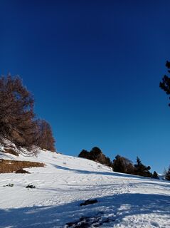 Photo de Aner le long du parcours