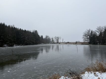 Foto von Babs Holz entlang der Tour
